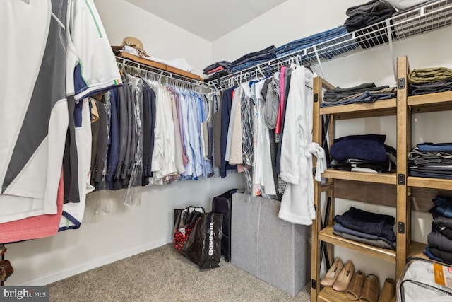 10611 Tattersall Dr, Manassas, VA 20112 - walk in closet with carpet flooring