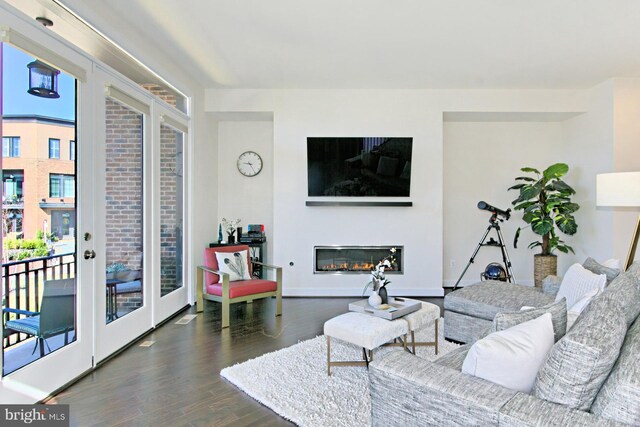 23109 Cottonwillow Sq, Brambleton, VA 20148 - living room with wood finished floors, a glass covered fireplace, and baseboards