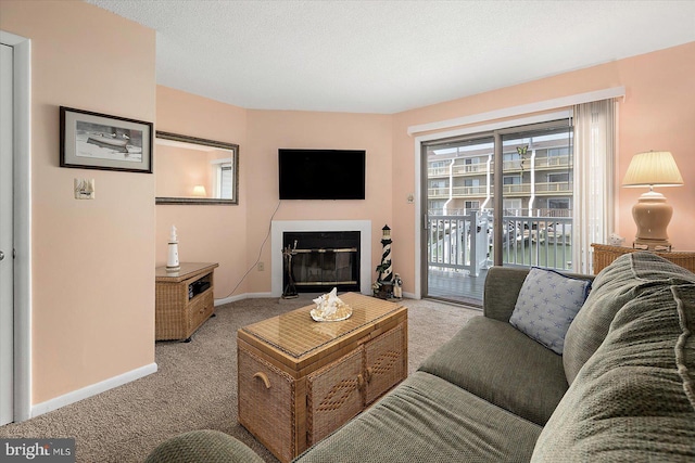 614 Osprey Rd Unit D, Ocean City, MD 21842 - living room featuring light colored carpet, a glass covered fireplace, and baseboards