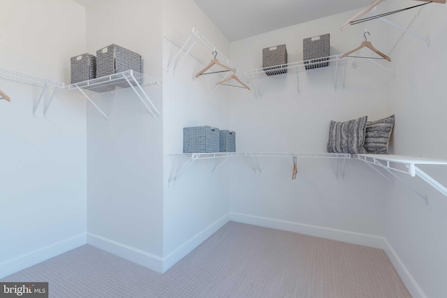 23675 Hardesty Ter, Ashburn, VA 20148 - walk in closet with carpet flooring