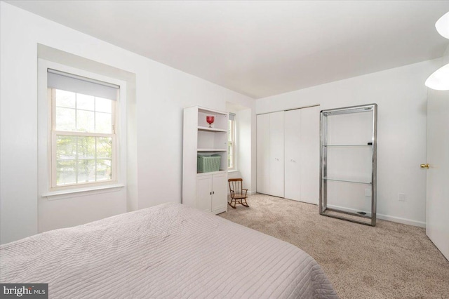 10625 Shasta Ct Unit T, Damascus, MD 20872 - carpeted bedroom with a closet