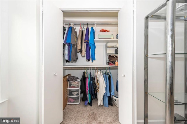 10625 Shasta Ct Unit T, Damascus, MD 20872 - view of closet