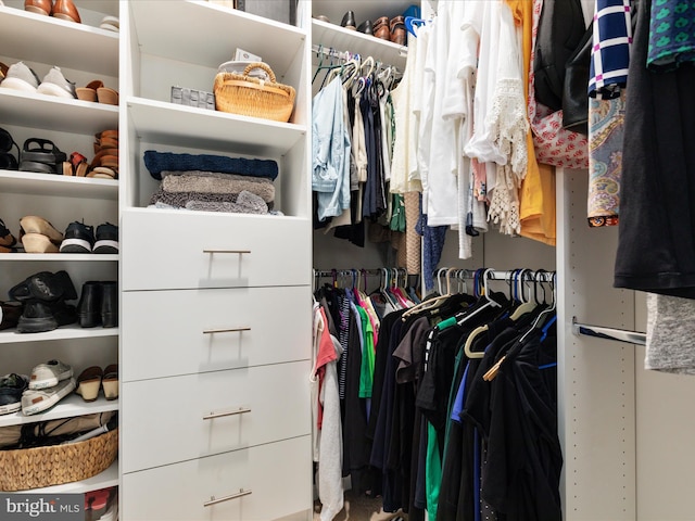view of spacious closet