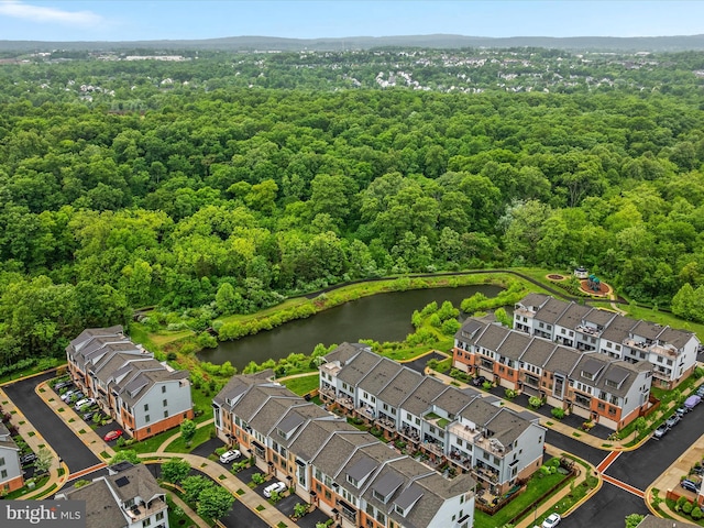 bird's eye view of a large body of water and a forest