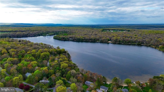 18 Cub Ln, Jim Thorpe, PA 18229 - aerial view of a forest and a large body of water