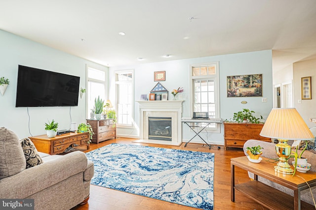9 Webster Hill Ct, Clarksburg, MD 20871 - living room with healthy amount of natural light, wood finished floors, a glass covered fireplace, and recessed lighting