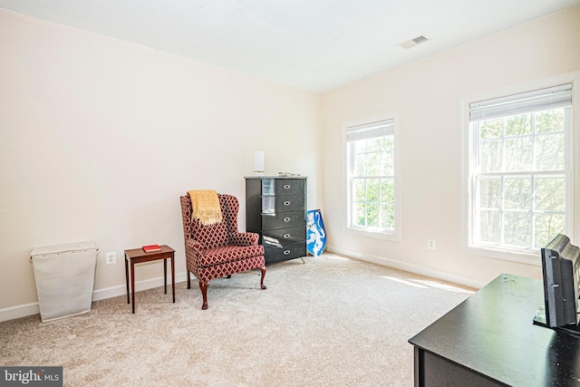 9 Webster Hill Ct, Clarksburg, MD 20871 - living area with carpet flooring