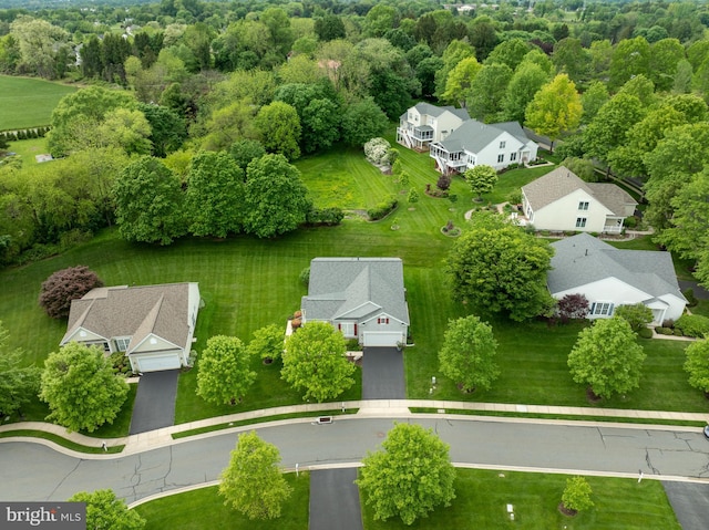 drone / aerial view