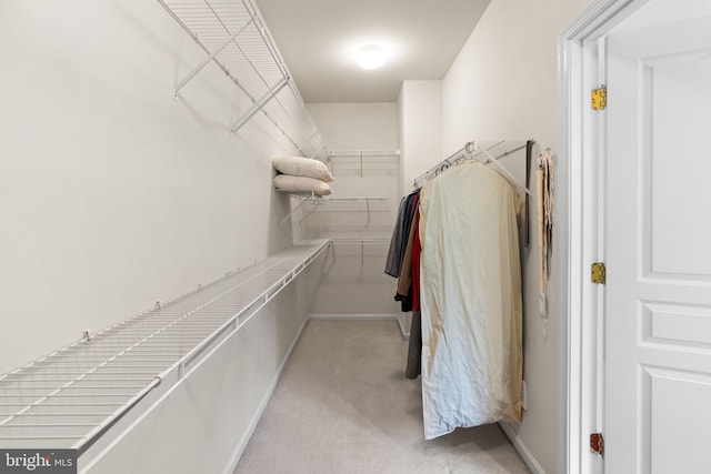 103 Dylan Cir, Avondale, PA 19311 - walk in closet with light carpet