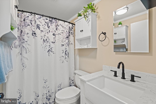 full bathroom with crown molding, toilet, vanity, and a shower with shower curtain