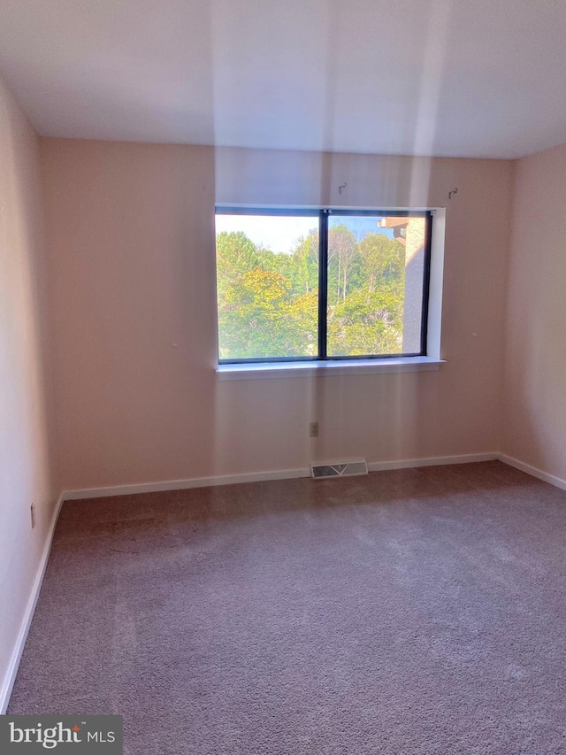 411 Lynetree Dr Unit 12-C, West Chester, PA 19380 - spare room with healthy amount of natural light, baseboards, and carpet