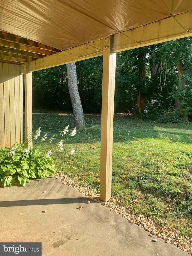 411 Lynetree Dr Unit 12-C, West Chester, PA 19380 - view of green lawn