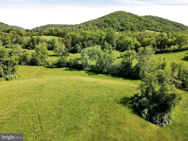 Ben Venue Rd, Flint Hill, VA 22627