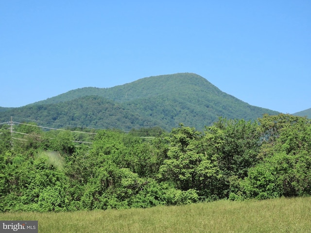Ben Venue Rd, Flint Hill, VA 22627