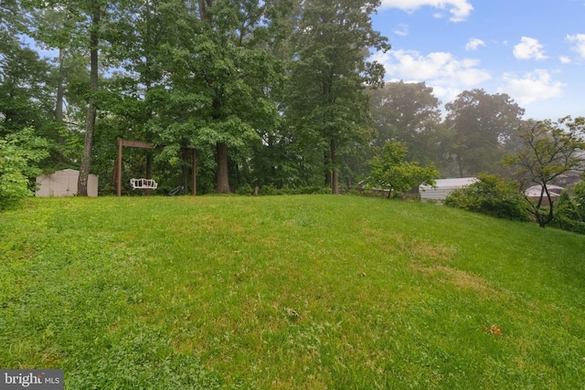view of green lawn