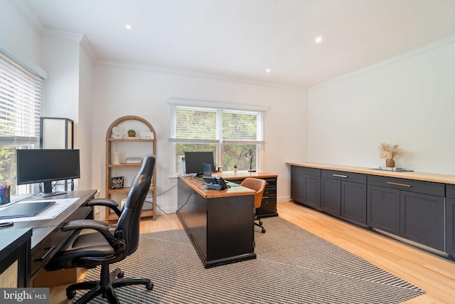 office space featuring ornamental molding and light wood-style flooring