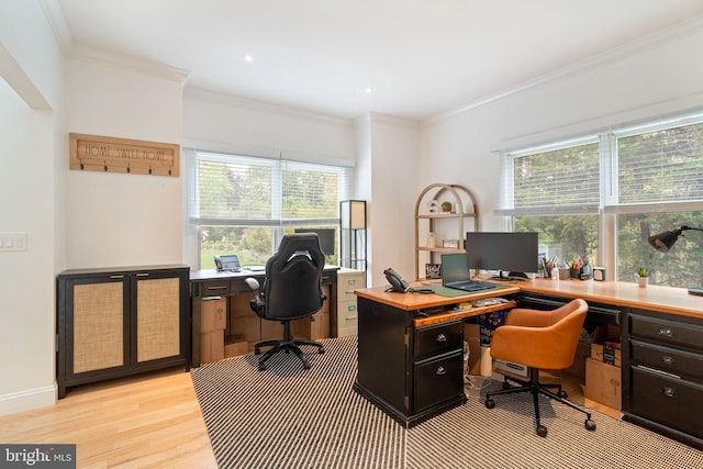 office space with light wood-style floors and ornamental molding