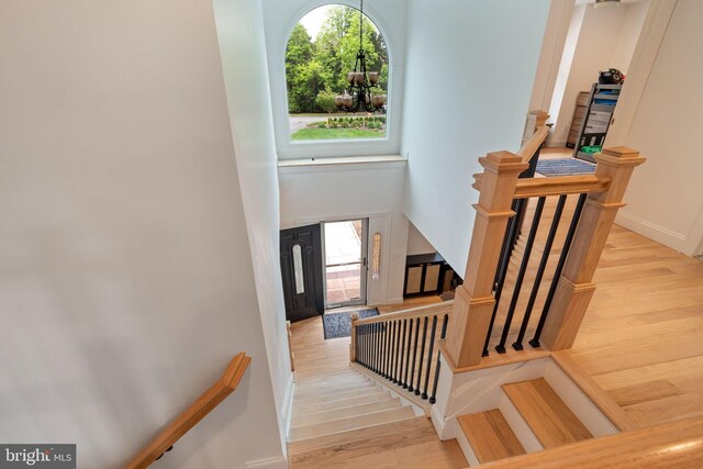 stairway with wood finished floors and plenty of natural light
