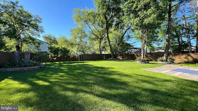 view of yard