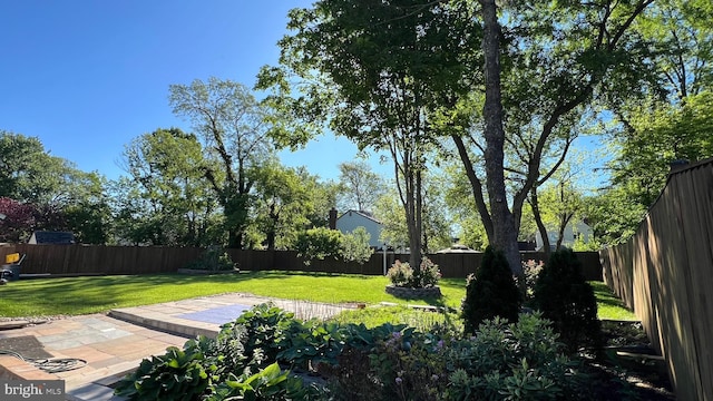 view of yard featuring a patio area