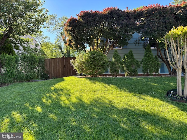 view of yard