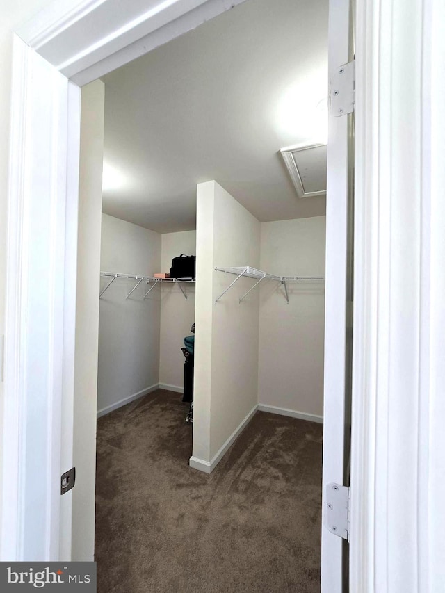 spacious closet with carpet flooring and attic access