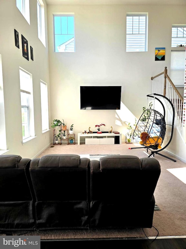 living room with carpet flooring