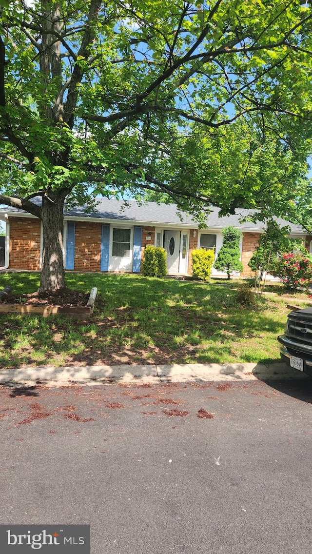 801 S Greenthorn Ave, Sterling, VA 20164 - single story home with brick siding and a front yard