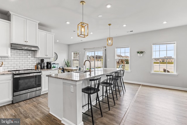 9508 Mourning Dove Way, Delmar, MD 21875 - kitchen featuring stainless steel range with electric stovetop, a sink, under cabinet range hood, wood finished floors, and an island with sink