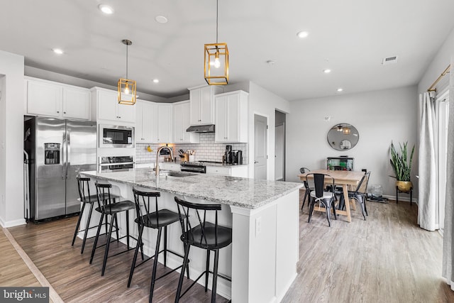 9508 Mourning Dove Way, Delmar, MD 21875 - kitchen with stainless steel appliances, a sink, light wood-type flooring, under cabinet range hood, and decorative backsplash