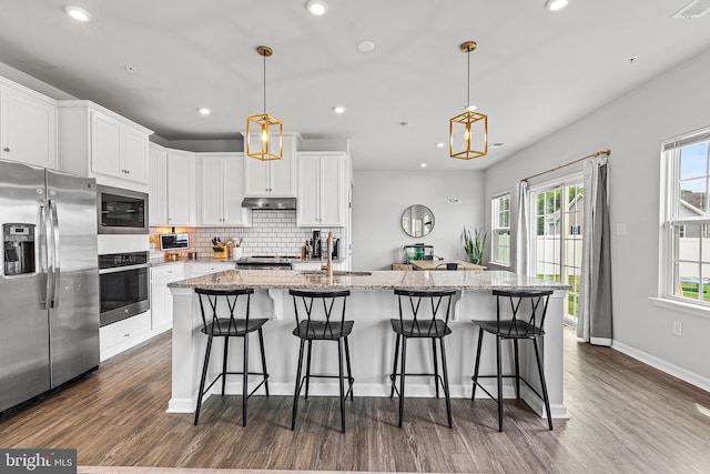 9508 Mourning Dove Way, Delmar, MD 21875 - kitchen with appliances with stainless steel finishes, under cabinet range hood, dark wood finished floors, tasteful backsplash, and recessed lighting