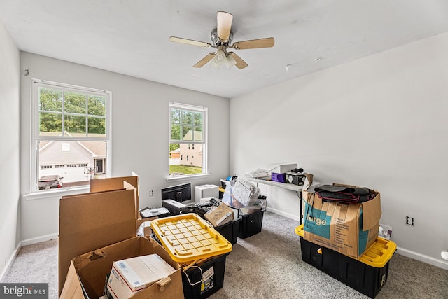 9508 Mourning Dove Way, Delmar, MD 21875 - office space featuring carpet floors, ceiling fan, and baseboards