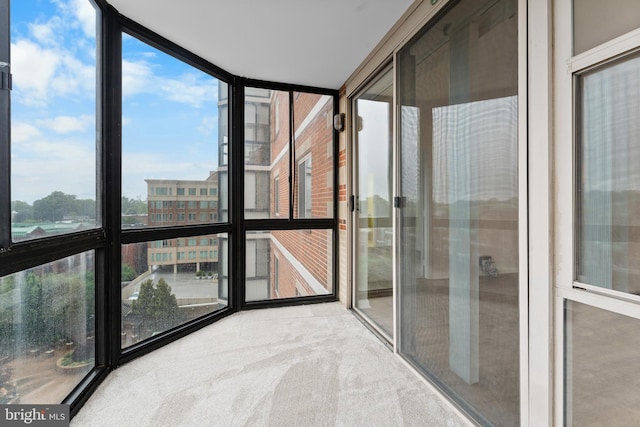 24 Courthouse Sq Unit 710, Rockville, MD 20850 - unfurnished sunroom with a wall of windows and carpet flooring