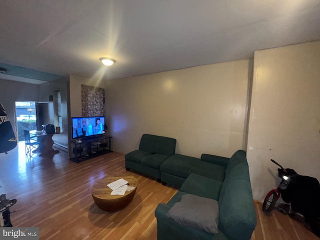living area with wood finished floors