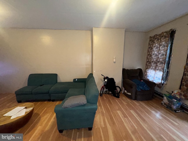 living area featuring wood finished floors