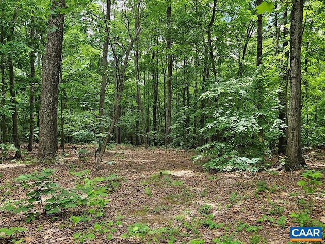 419 Camden St, Dillwyn, VA 23936 - view of wooded area