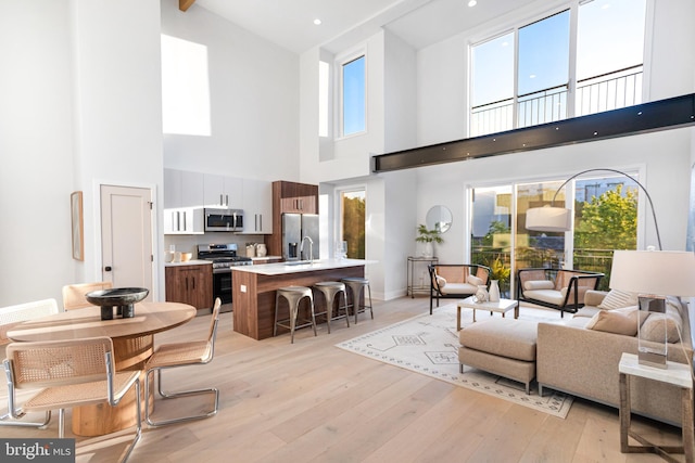 845 19th St NE Unit Ph9, Washington, DC 20002 - living room with a high ceiling, light wood-style floors, and baseboards