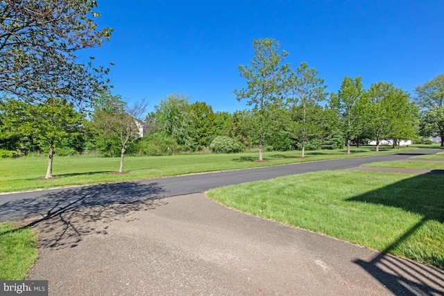 view of community featuring a lawn