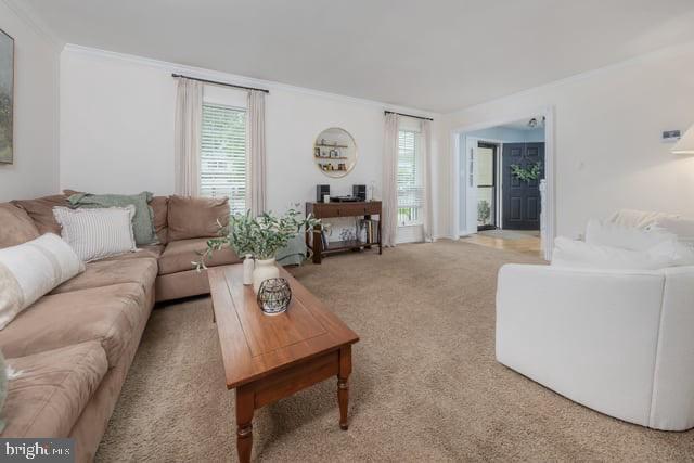 25 Aberdeen Dr, Sicklerville, NJ 08081 - living area featuring crown molding and light colored carpet