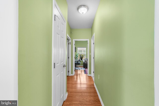 17 San Marco, West Windsor, NJ 08550 - hallway featuring wood finished floors and baseboards