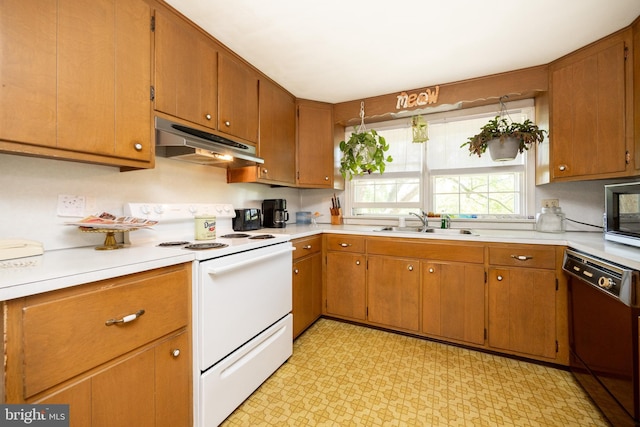 kitchen with under cabinet range hood, dishwasher, white range with electric stovetop, a sink, and light countertops