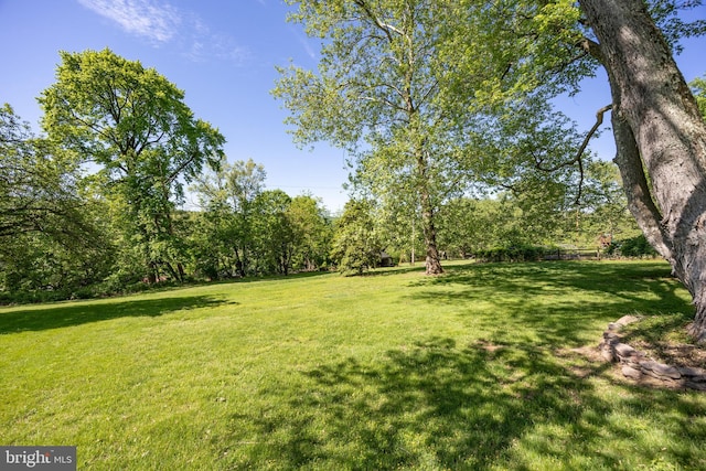view of green lawn