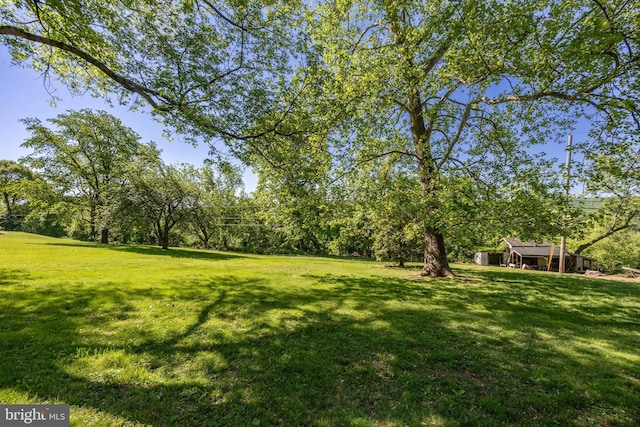 view of green lawn