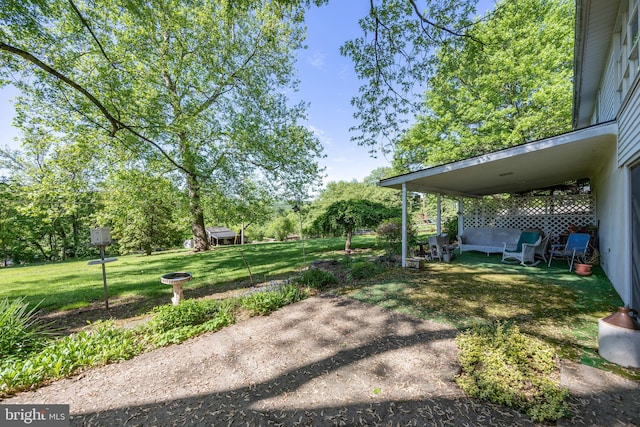 view of grassy yard