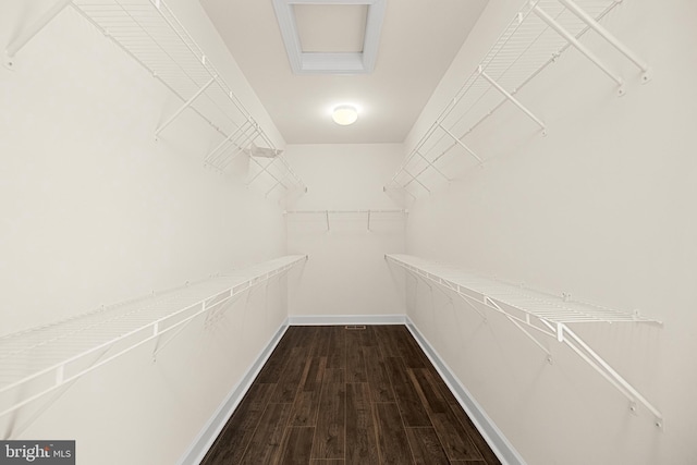 42289 Porter Rdg, Brambleton, VA 20148 - spacious closet with dark wood-type flooring