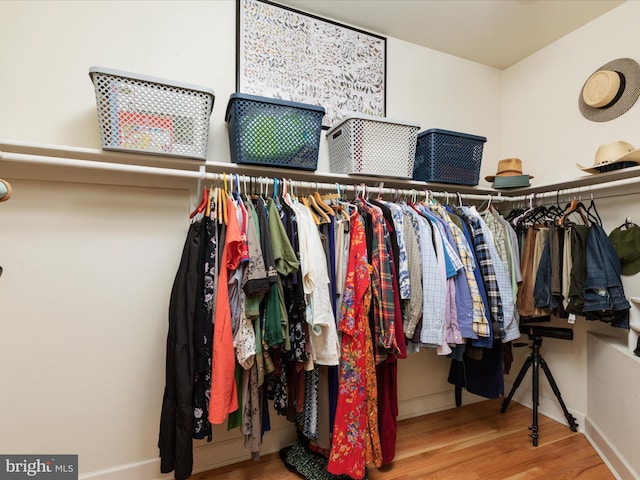 spacious closet featuring wood finished floors