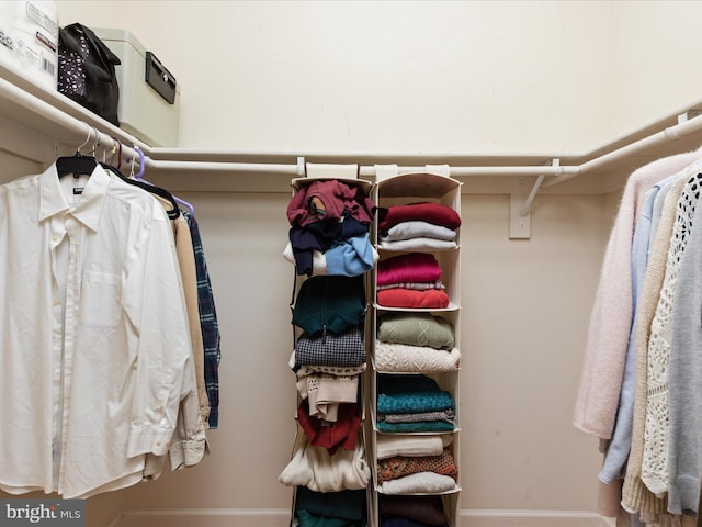 view of walk in closet