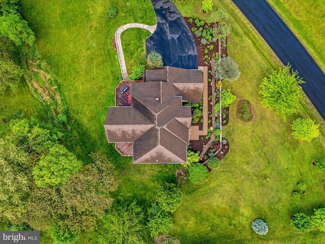 bird's eye view