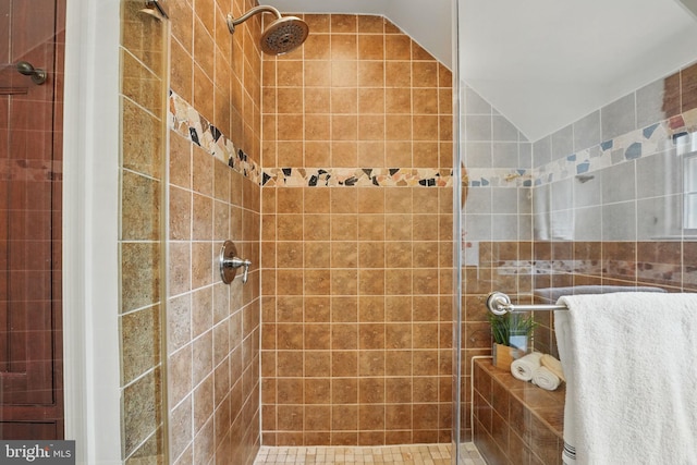 bathroom featuring lofted ceiling and a shower stall