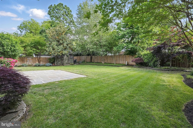 view of yard with an outdoor structure, a patio area, and a storage unit
